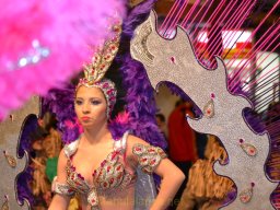 Carnaval de Mula 2012